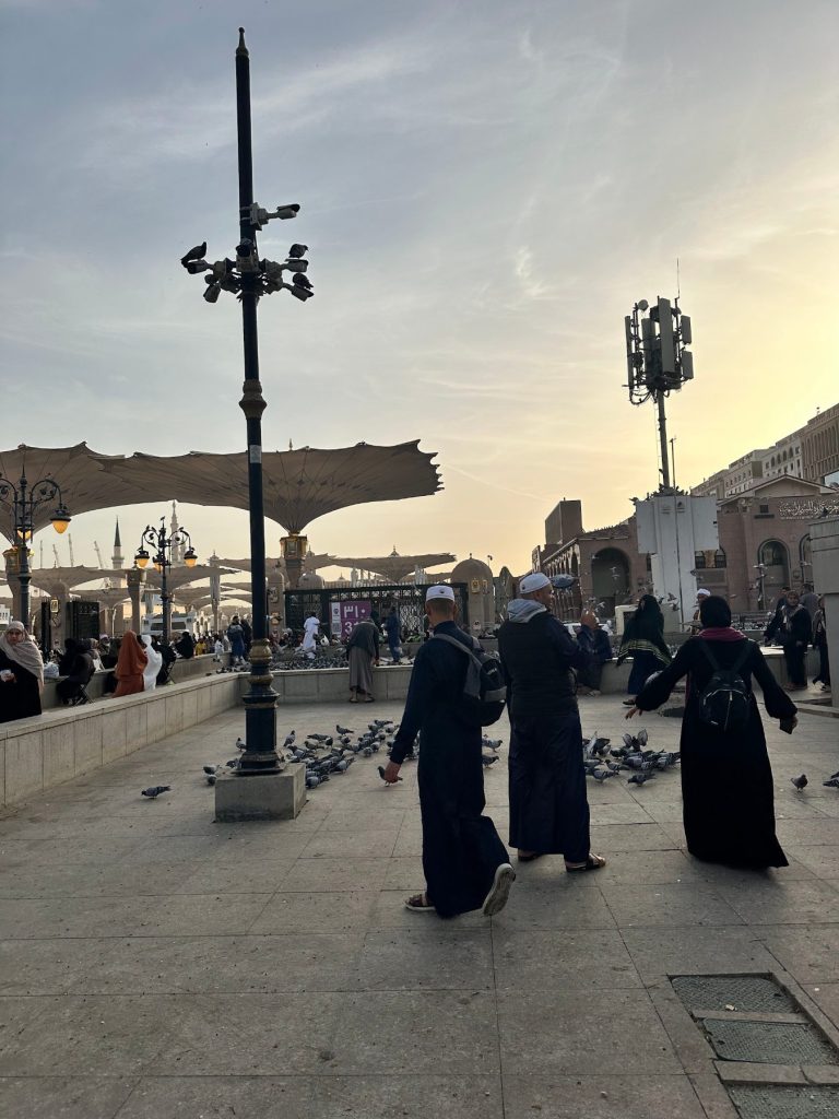 Payung Masjid Nabawi Madinah saat senja dengan kawanan merpati, dokumentasi Haqeem Travel